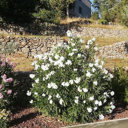 La Grangette Villa Joyeuse Kültér fotó